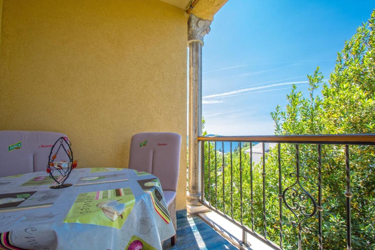 Apartment Oaza *